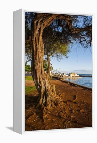 Park on the Coast of Lahaina, Maui, Hawaii, United States of America, Pacific-Michael-Framed Premier Image Canvas