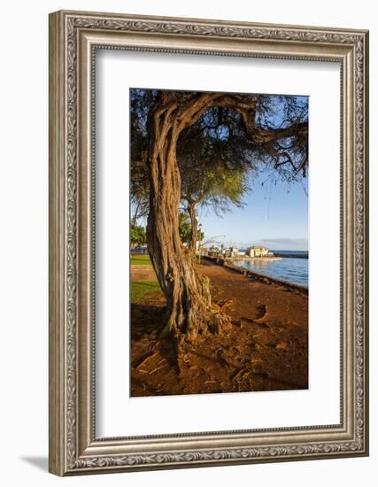 Park on the Coast of Lahaina, Maui, Hawaii, United States of America, Pacific-Michael-Framed Photographic Print