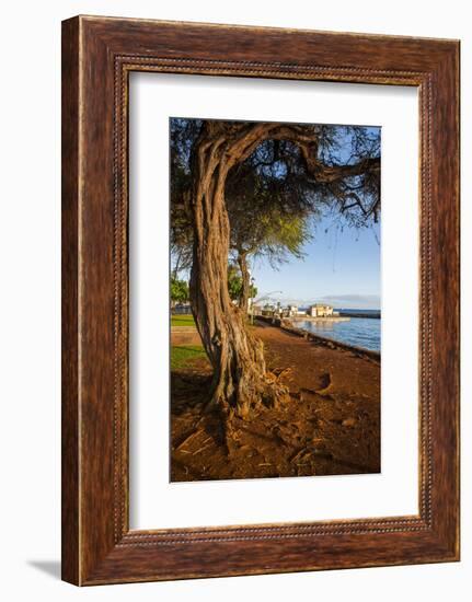 Park on the Coast of Lahaina, Maui, Hawaii, United States of America, Pacific-Michael-Framed Photographic Print
