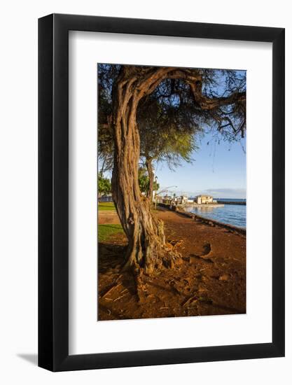 Park on the Coast of Lahaina, Maui, Hawaii, United States of America, Pacific-Michael-Framed Photographic Print