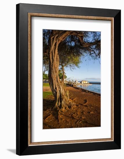 Park on the Coast of Lahaina, Maui, Hawaii, United States of America, Pacific-Michael-Framed Photographic Print