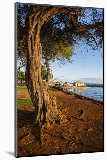 Park on the Coast of Lahaina, Maui, Hawaii, United States of America, Pacific-Michael-Mounted Photographic Print