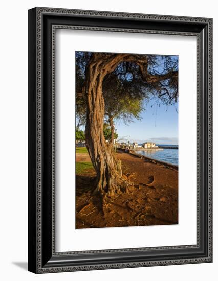 Park on the Coast of Lahaina, Maui, Hawaii, United States of America, Pacific-Michael-Framed Photographic Print