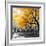 Park Pretty II-Assaf Frank-Framed Premium Photographic Print