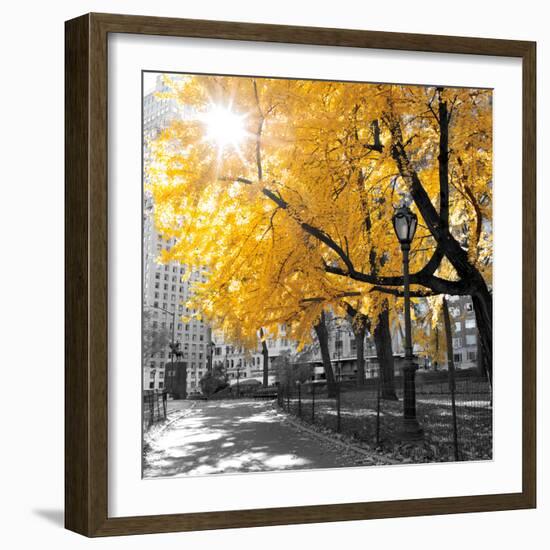 Park Pretty II-Assaf Frank-Framed Premium Photographic Print