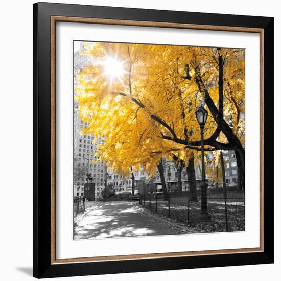 Park Pretty II-Assaf Frank-Framed Premium Photographic Print