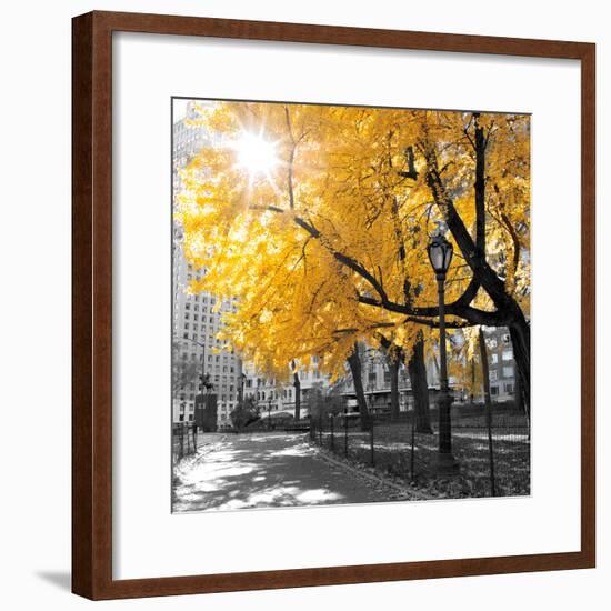 Park Pretty II-Assaf Frank-Framed Premium Photographic Print