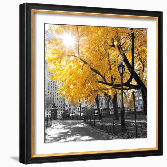 Park Pretty II-Assaf Frank-Framed Premium Photographic Print