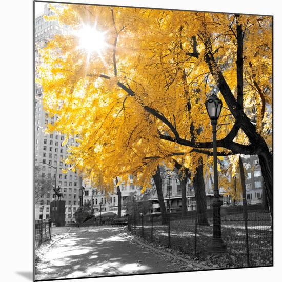 Park Pretty II-Assaf Frank-Mounted Photographic Print