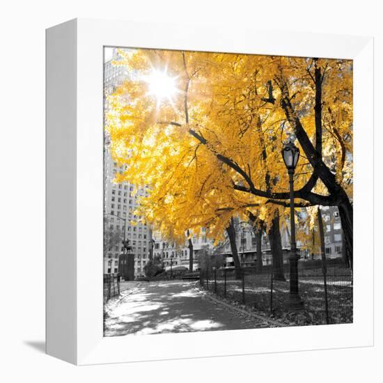 Park Pretty II-Assaf Frank-Framed Premier Image Canvas