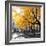 Park Pretty II-Assaf Frank-Framed Photographic Print