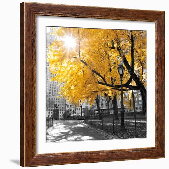 Park Pretty II-Assaf Frank-Framed Photographic Print