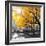 Park Pretty II-Assaf Frank-Framed Photographic Print