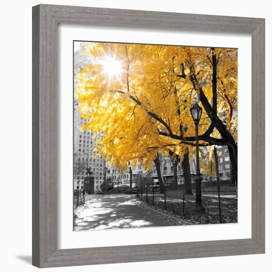 Park Pretty II-Assaf Frank-Framed Photographic Print