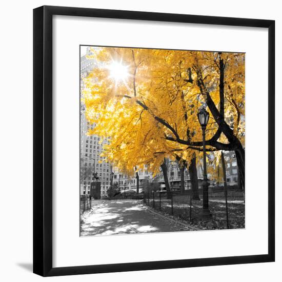 Park Pretty II-Assaf Frank-Framed Photographic Print