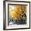 Park Pretty II-Assaf Frank-Framed Photographic Print