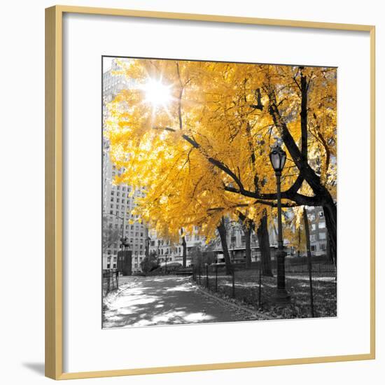 Park Pretty II-Assaf Frank-Framed Photographic Print