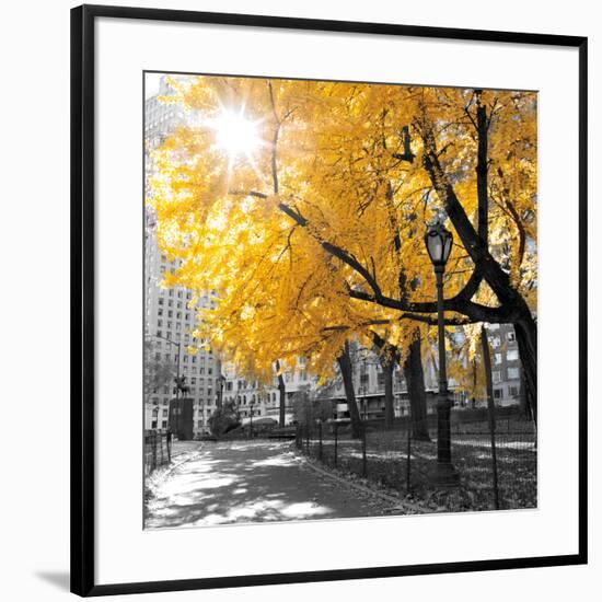 Park Pretty II-Assaf Frank-Framed Photographic Print