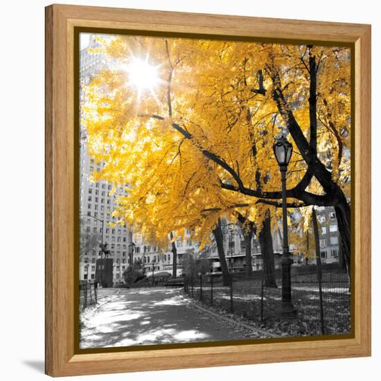 Park Pretty II-Assaf Frank-Framed Stretched Canvas