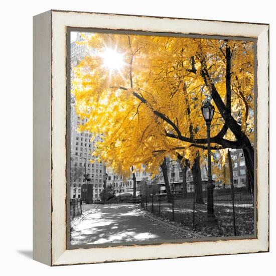 Park Pretty II-Assaf Frank-Framed Stretched Canvas