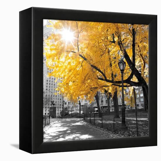 Park Pretty II-Assaf Frank-Framed Stretched Canvas