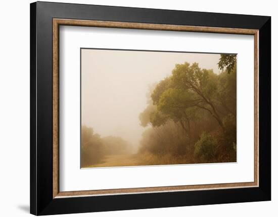 Park Street Path-David Winston-Framed Giclee Print