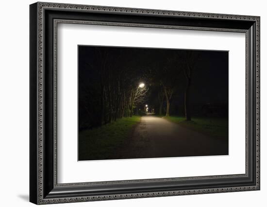 Park with lighting-Benjamin Engler-Framed Photographic Print