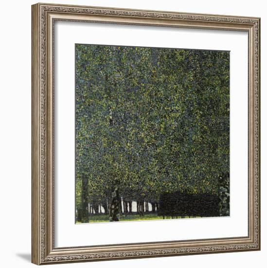 Park-Gustav Klimt-Framed Giclee Print