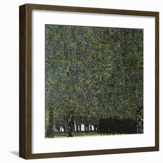 Park-Gustav Klimt-Framed Giclee Print