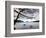 Parks Acadia-Robert F. Bukaty-Framed Photographic Print