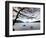 Parks Acadia-Robert F. Bukaty-Framed Photographic Print