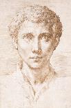 Head of a Young Man Looking Up-Parmigianino-Giclee Print