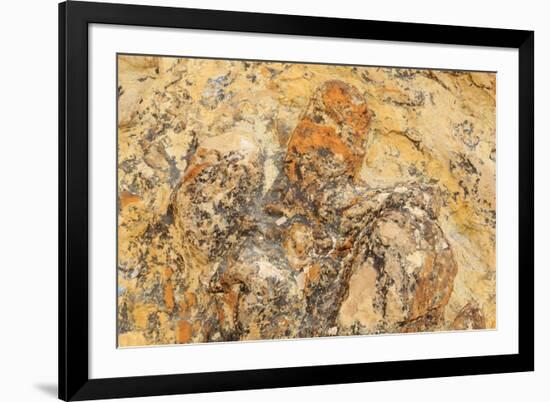 Parowan Gap Dinosaur Tracks and Remains, Iron County, Utah, United States of America, North America-Richard Cummins-Framed Photographic Print