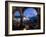 Parque Central, Antigua, Guatemala, Central America-Ben Pipe-Framed Photographic Print