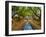 Parque Das Nacoes. Lisbon, Portugal-Mauricio Abreu-Framed Photographic Print