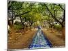 Parque Das Nacoes. Lisbon, Portugal-Mauricio Abreu-Mounted Photographic Print