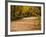 Parque Del Buen Retiro, Madrid, Spain-Walter Bibikow-Framed Photographic Print