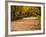 Parque Del Buen Retiro, Madrid, Spain-Walter Bibikow-Framed Photographic Print