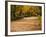 Parque Del Buen Retiro, Madrid, Spain-Walter Bibikow-Framed Photographic Print