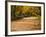 Parque Del Buen Retiro, Madrid, Spain-Walter Bibikow-Framed Photographic Print