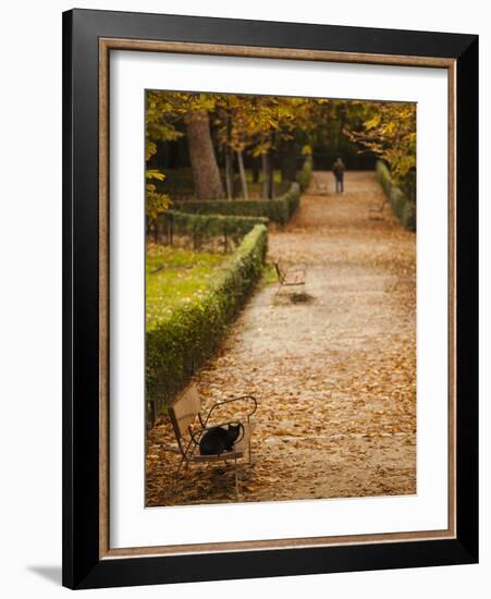 Parque Del Buen Retiro, Madrid, Spain-Walter Bibikow-Framed Photographic Print