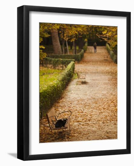 Parque Del Buen Retiro, Madrid, Spain-Walter Bibikow-Framed Photographic Print