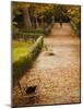 Parque Del Buen Retiro, Madrid, Spain-Walter Bibikow-Mounted Photographic Print