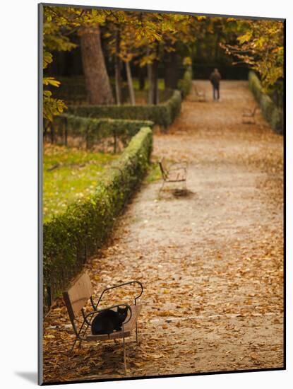 Parque Del Buen Retiro, Madrid, Spain-Walter Bibikow-Mounted Photographic Print