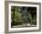 Parque Maria Luisa, Seville, Andalusia (Andalucia), Spain, Europe-Ruth Tomlinson-Framed Photographic Print