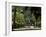 Parque Maria Luisa, Seville, Andalusia (Andalucia), Spain, Europe-Ruth Tomlinson-Framed Photographic Print