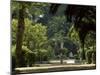 Parque Maria Luisa, Seville, Andalusia (Andalucia), Spain, Europe-Ruth Tomlinson-Mounted Photographic Print