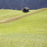 Mountain Cabin-Parque-Photographic Print