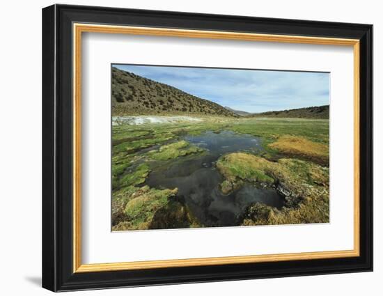 Parque Nacional de Sajama, Bolivia.-Anthony Asael-Framed Photographic Print