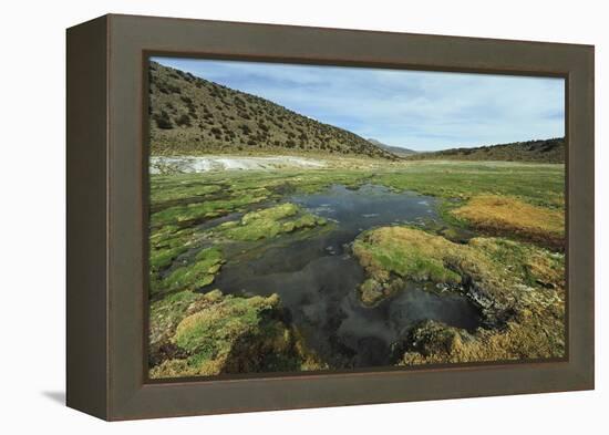 Parque Nacional de Sajama, Bolivia.-Anthony Asael-Framed Premier Image Canvas